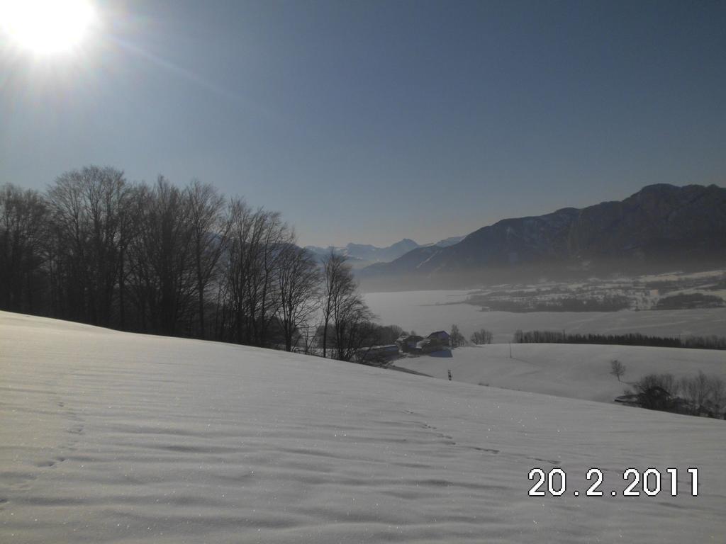 Gesundheitshof Lohninger * Mondsee