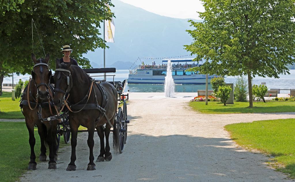 Gesundheitshof Lohninger Farm stay Mondsee